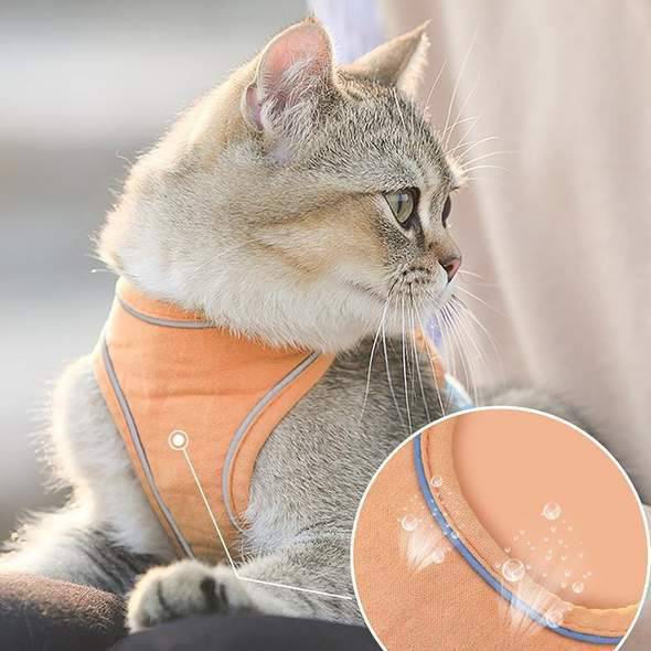 Cat Vest Harness and Leash Set - Escape Proof For Outdoor Walking
