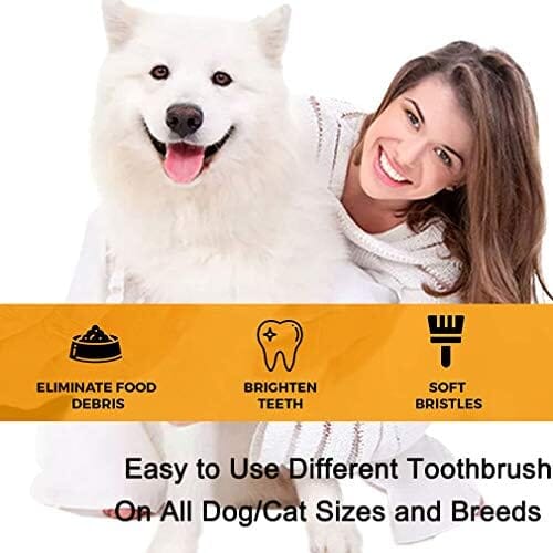 10 Pack Pet Dog Toothbrush