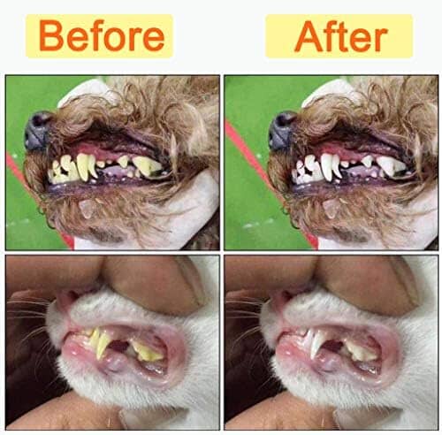 10 Pack Pet Dog Toothbrush