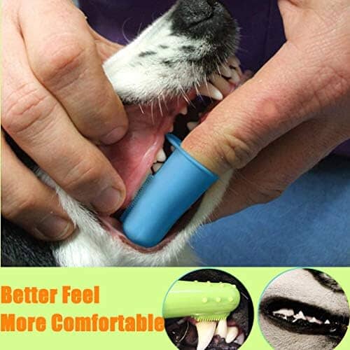 10 Pack Pet Dog Toothbrush