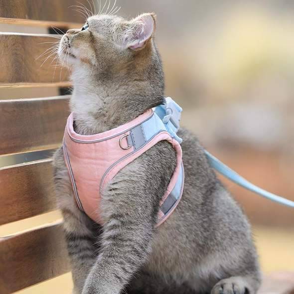 Cat Vest Harness and Leash Set - Escape Proof For Outdoor Walking