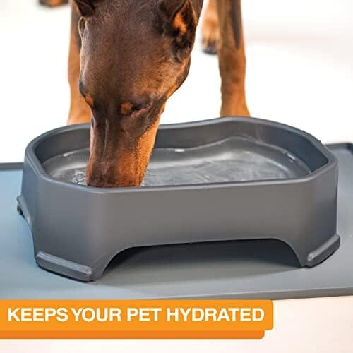 1.25 Gallon Capacity, 160 oz Extra Large Water Bowl for Dogs