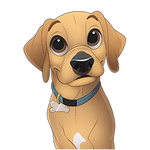 Custom Pet Light Box Art