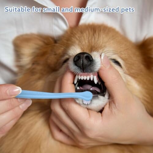 2 Pack Dog and Cat Toothbrush Kit