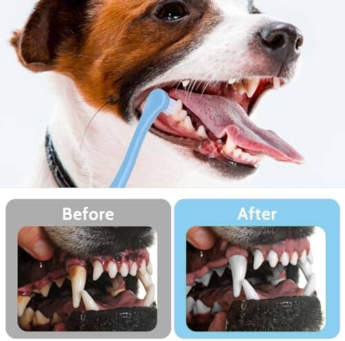 2 Pack Dog and Cat Toothbrush Kit