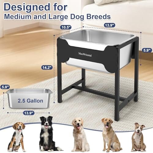 2.5 Gallon 14.2" Raised Stainless Steel Large Dog Water Bowl with Full Metal Stand for Relief Joint Pressure