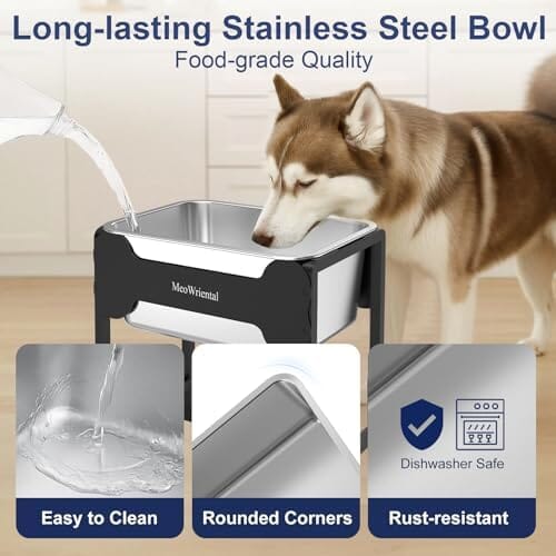 2.5 Gallon 14.2" Raised Stainless Steel Large Dog Water Bowl with Full Metal Stand for Relief Joint Pressure