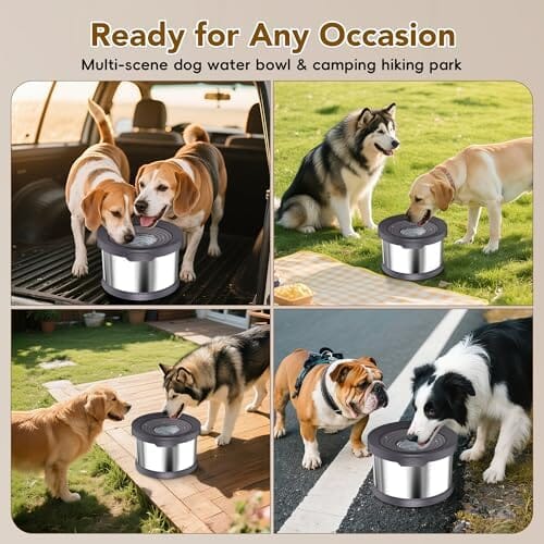 2.6 Gallon/10L Large Capacity Spill-Proof Dog Bowls