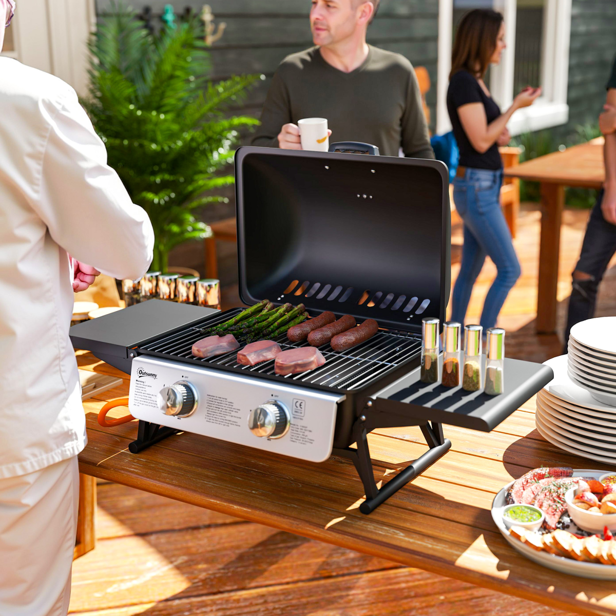 Compact Gas BBQ Grill with Thermometer