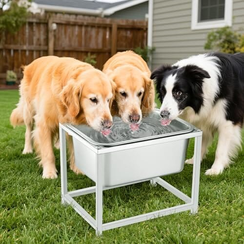 3 Gallons Large Elevated Dog Water Bowl - 11.5'' H Sturdy Stainless Steel Raised Dog Bowl with Stand