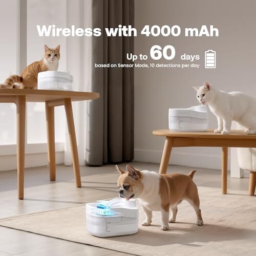 3L/101oz Wireless Pet Fountain