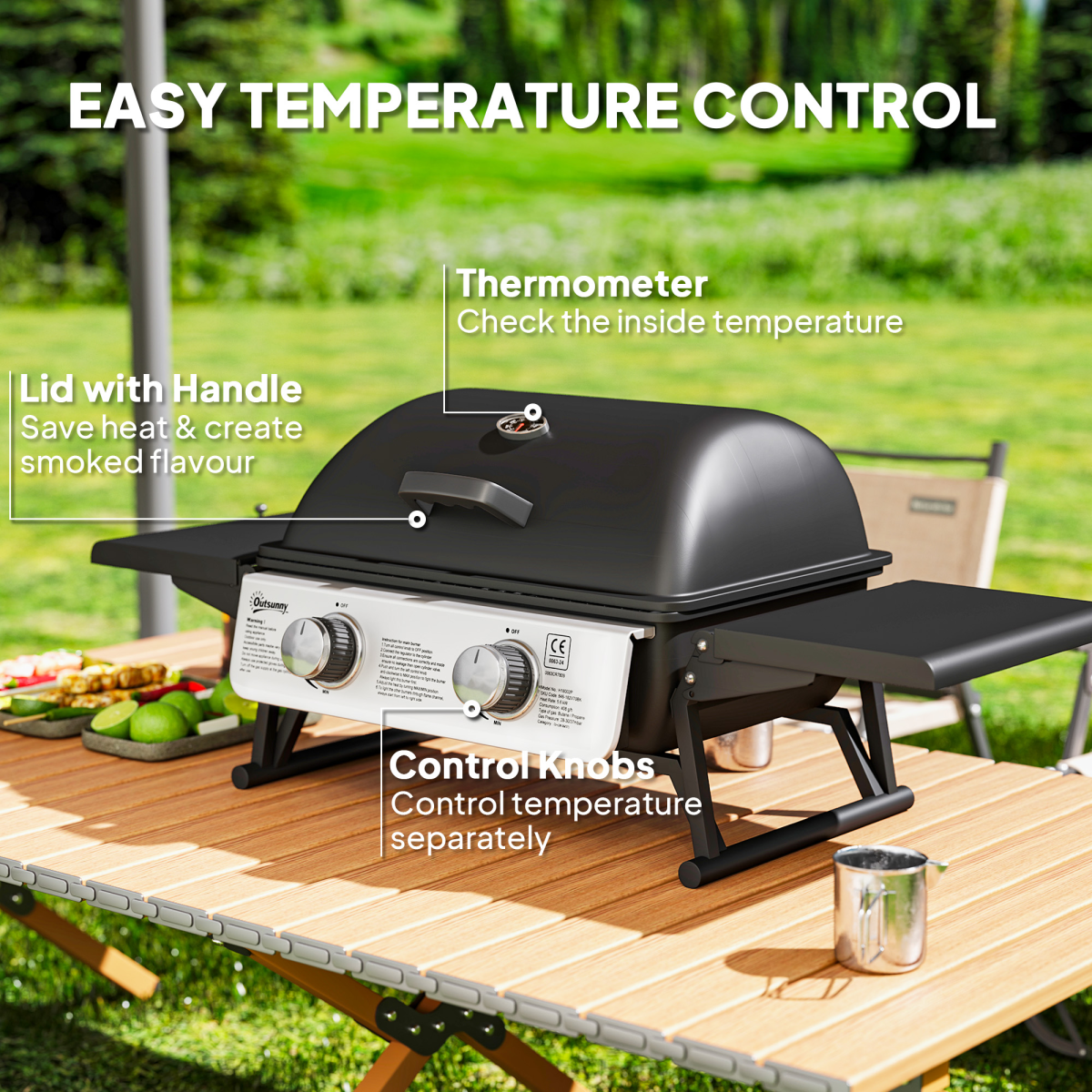 Compact Gas BBQ Grill with Thermometer