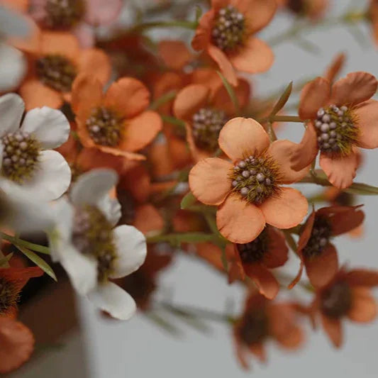 Artificial Autumn Inspired Silk Plum Blossom Flowers - Various Colours