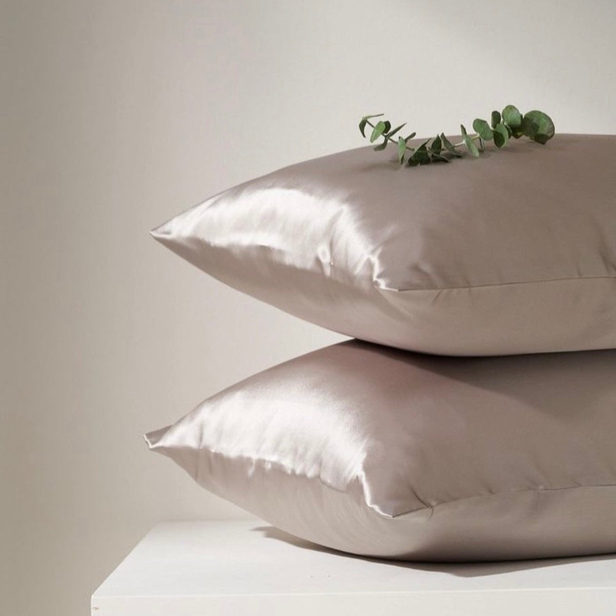 Mulberry Silk Pillow Case