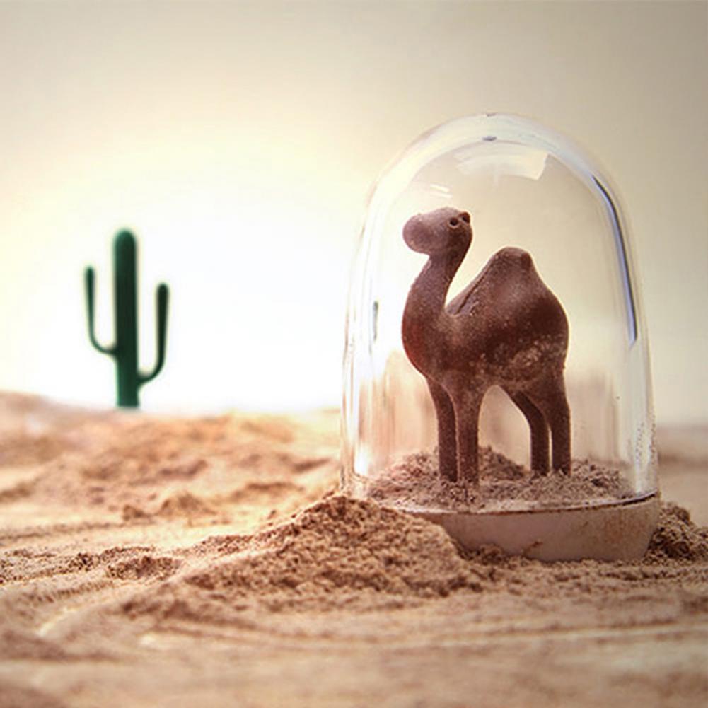 Cute Kitchen Seasoning Jar with Tray