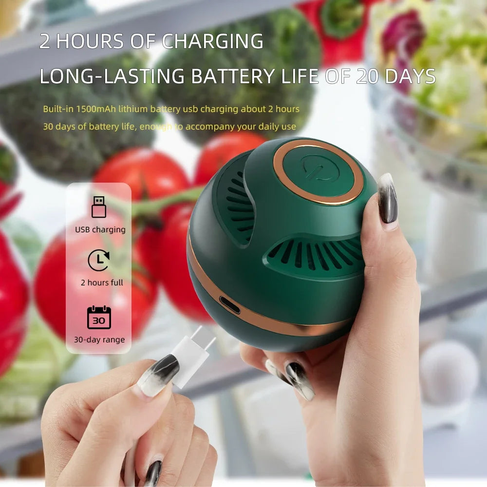Refrigerator Odor Remover – Ozone Sterilizer & Air Purifier for Kitchen and Home