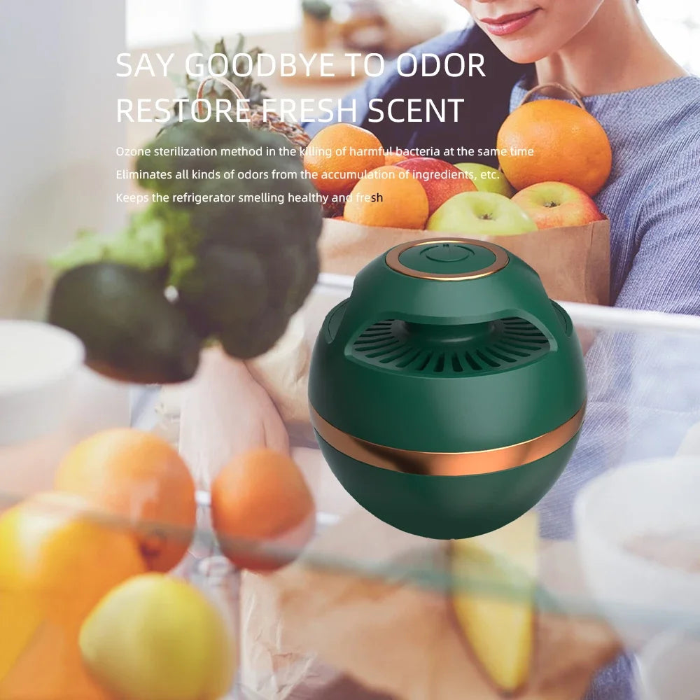 Refrigerator Odor Remover – Ozone Sterilizer & Air Purifier for Kitchen and Home