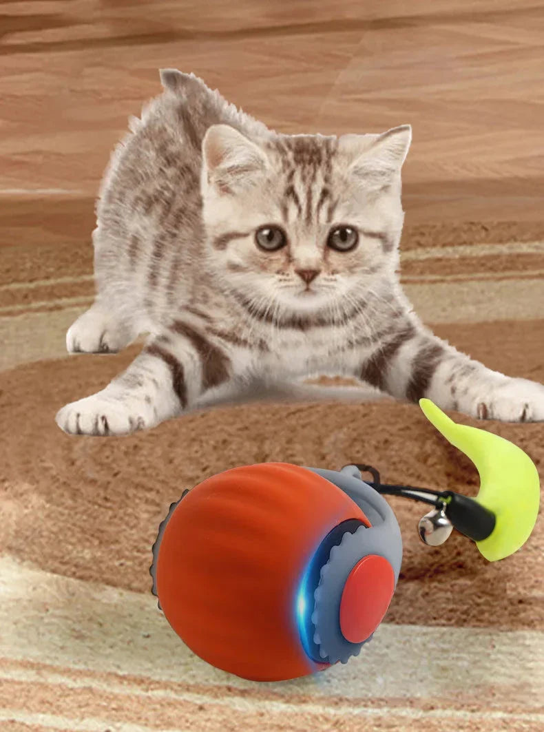 Smart Cat Interactive Ball Toy