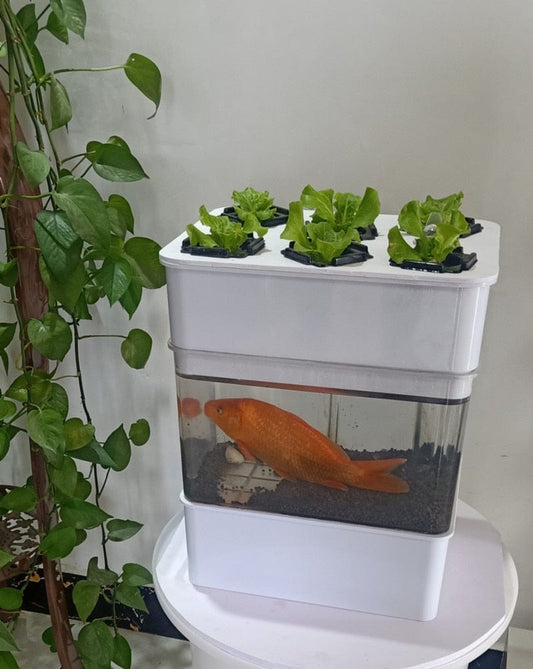 AquaGrow Mini: Hydroponic & Aquaponic Plant Growing System