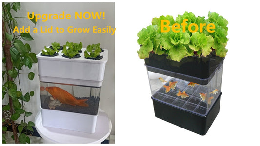 AquaGrow Mini: Hydroponic & Aquaponic Plant Growing System