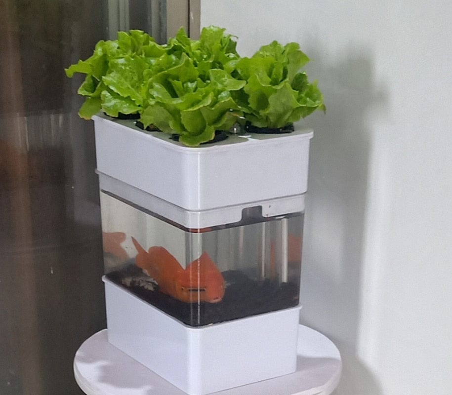 AquaGrow Mini: Hydroponic & Aquaponic Plant Growing System