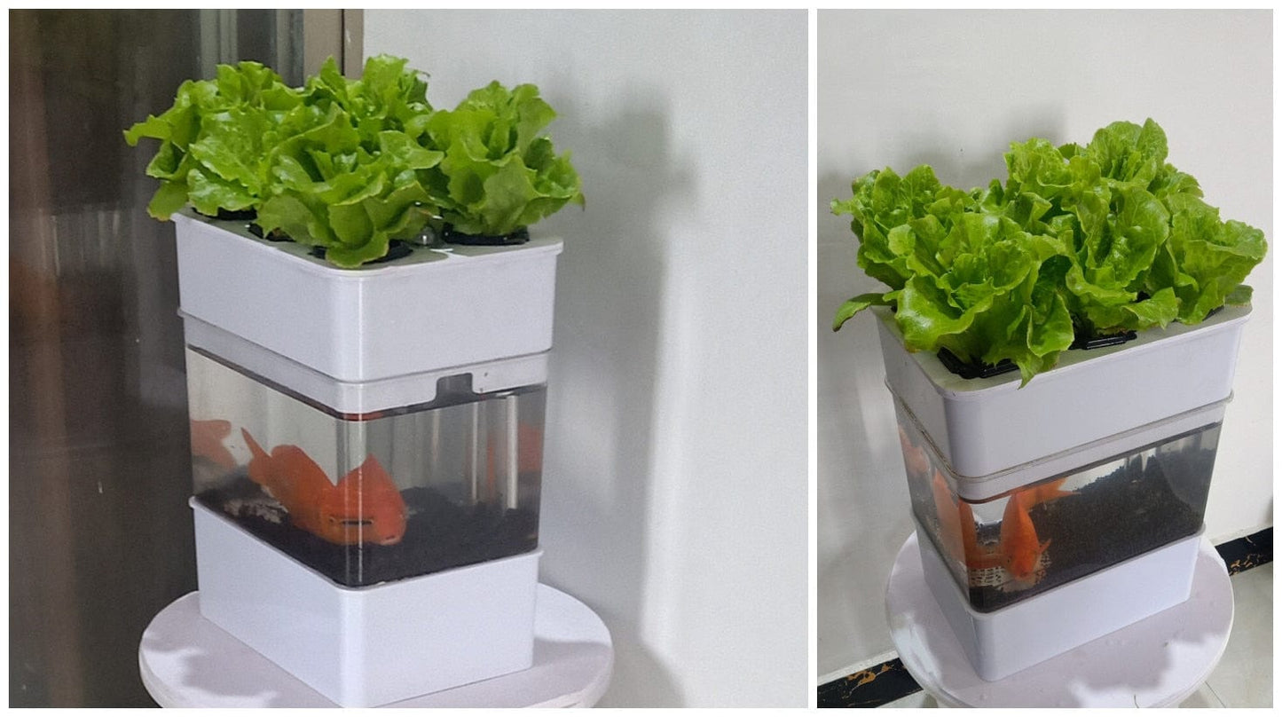 AquaGrow Mini: Hydroponic & Aquaponic Plant Growing System
