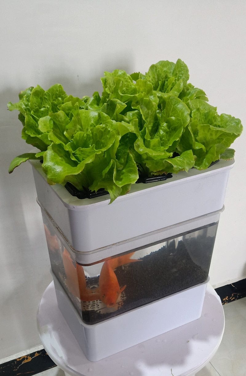 AquaGrow Mini: Hydroponic & Aquaponic Plant Growing System