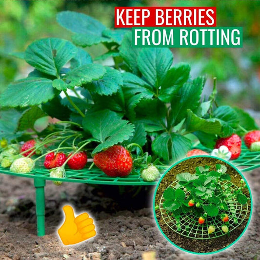 Berrylife - Strawberry Planting Frame