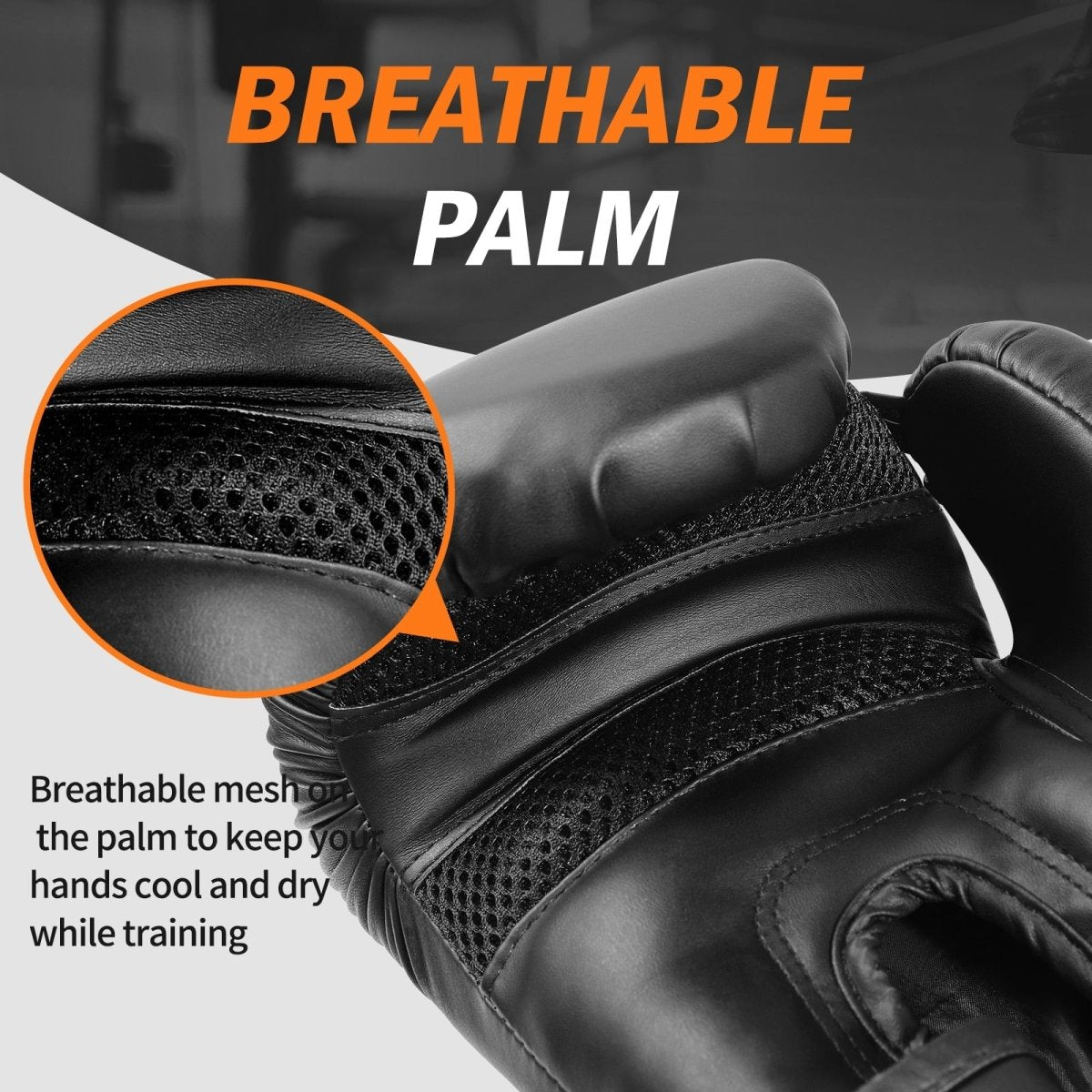 Boxing Gloves (6-16oz)