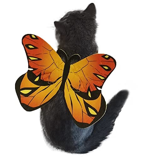 Cat Dog Butterfly Costume Wings for Halloween Party Decoration