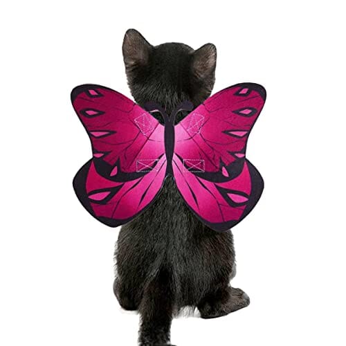 Cat Dog Butterfly Costume Wings for Halloween Party Decoration