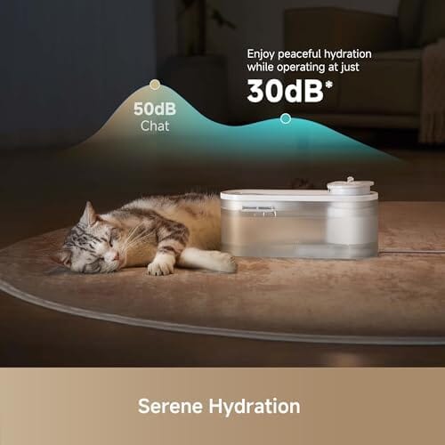 Cat Water Fountain with Quiet Pump and 3 Water Flow Modes
