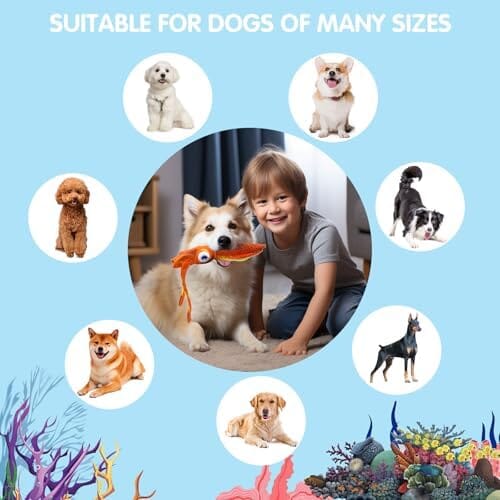 Cuttlefish Plush Dog Toy