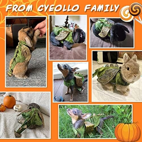 Dinosaur Cosplay Halloween Outfits for Small Pets