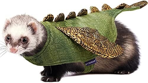 Dinosaur Cosplay Halloween Outfits for Small Pets