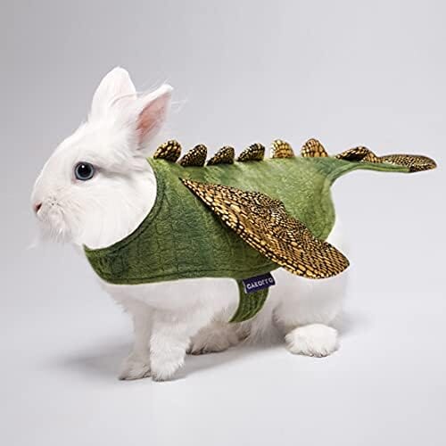 Dinosaur Cosplay Halloween Outfits for Small Pets