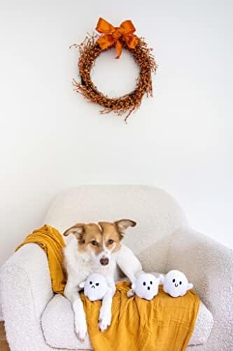 Dog Owner Must Have Accessories, Spooky Ghosts Fall Dog Toys, Set of 3