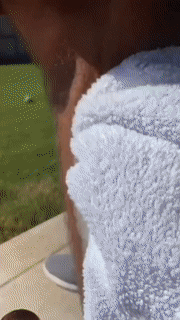 Foam Hair Removal Spray