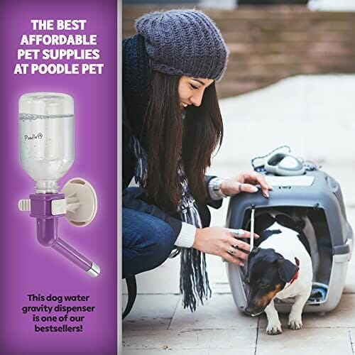 Gravity Hydration Fountain with Spigot Spout for Pets
