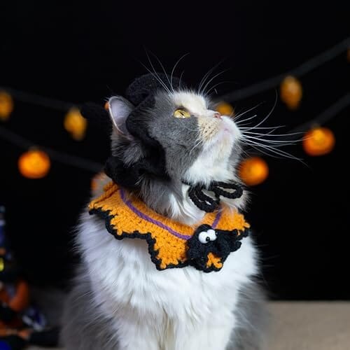 Hand-Knit Halloween Pet Costume-Spider Bib & Pumpkin Hat for Cats