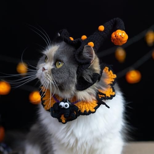 Hand-Knit Halloween Pet Costume-Spider Bib & Pumpkin Hat for Cats