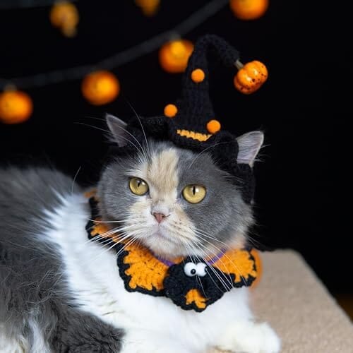 Hand-Knit Halloween Pet Costume-Spider Bib & Pumpkin Hat for Cats