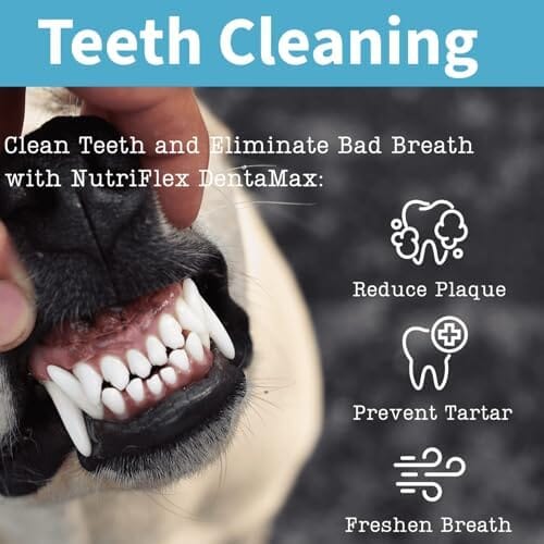 Noise Maker Latex Rubber Pet Squeaky Screamming Chicken Dog Toys