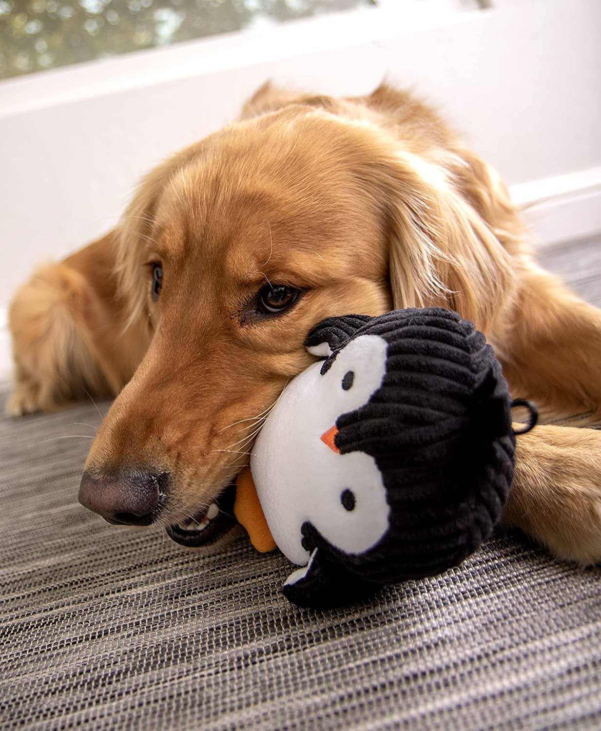 Penguin Ultrasonic, Soft Plush, Chew Resistant