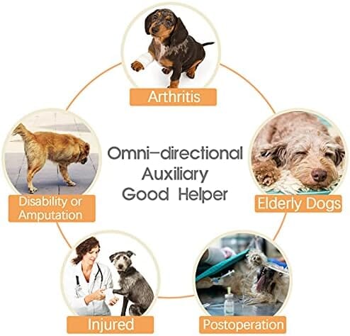 Pet Rear Support Aid Veterinarian Approved Sling for Old Help with Poor Stability