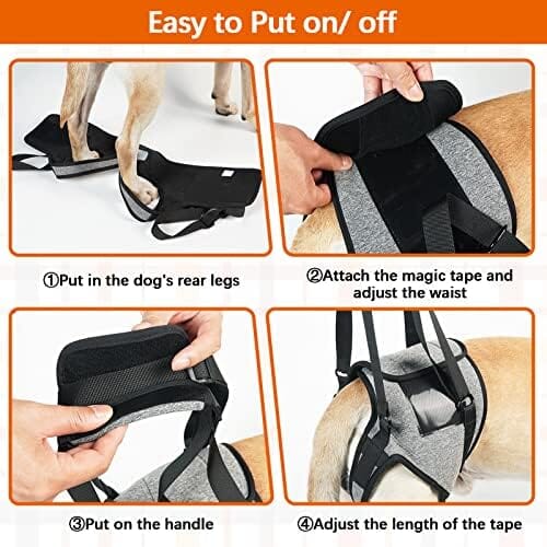 Pet Rear Support Aid Veterinarian Approved Sling for Old Help with Poor Stability