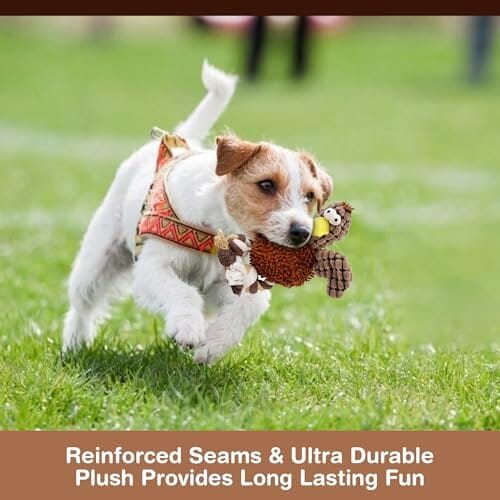 Pets Gigglers Chicken Dog Toy