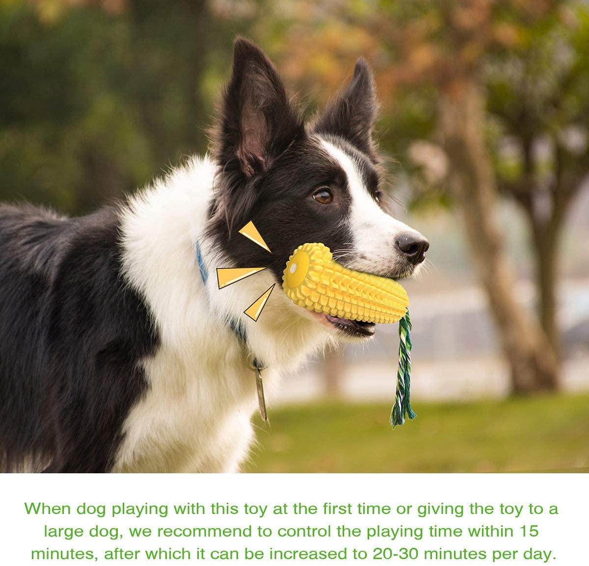 Puppy Toothbrush Clean Teeth Interactive Corn Toys