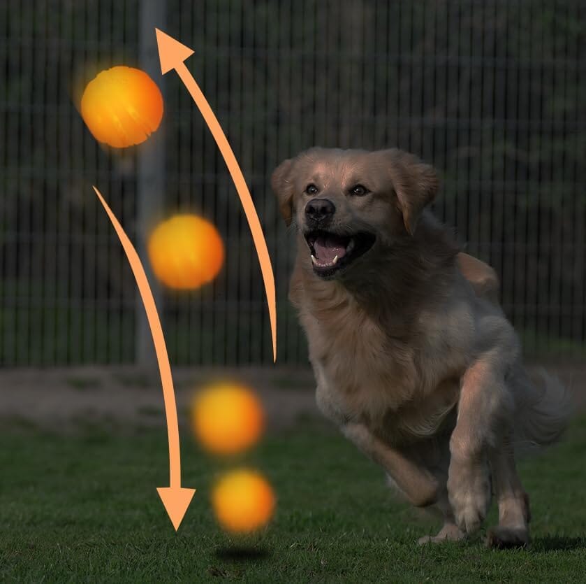Silicon Glowing Dog Toy Ball at Night with USB Rechargeable