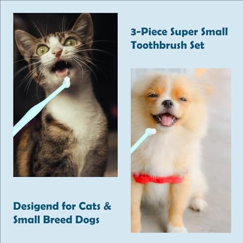 Small Breed Toothbrush Kit for Dogs & Cats 1/4' Pointed, 1/4' Flat, 3/8' Regular Brushes (3-Piece)